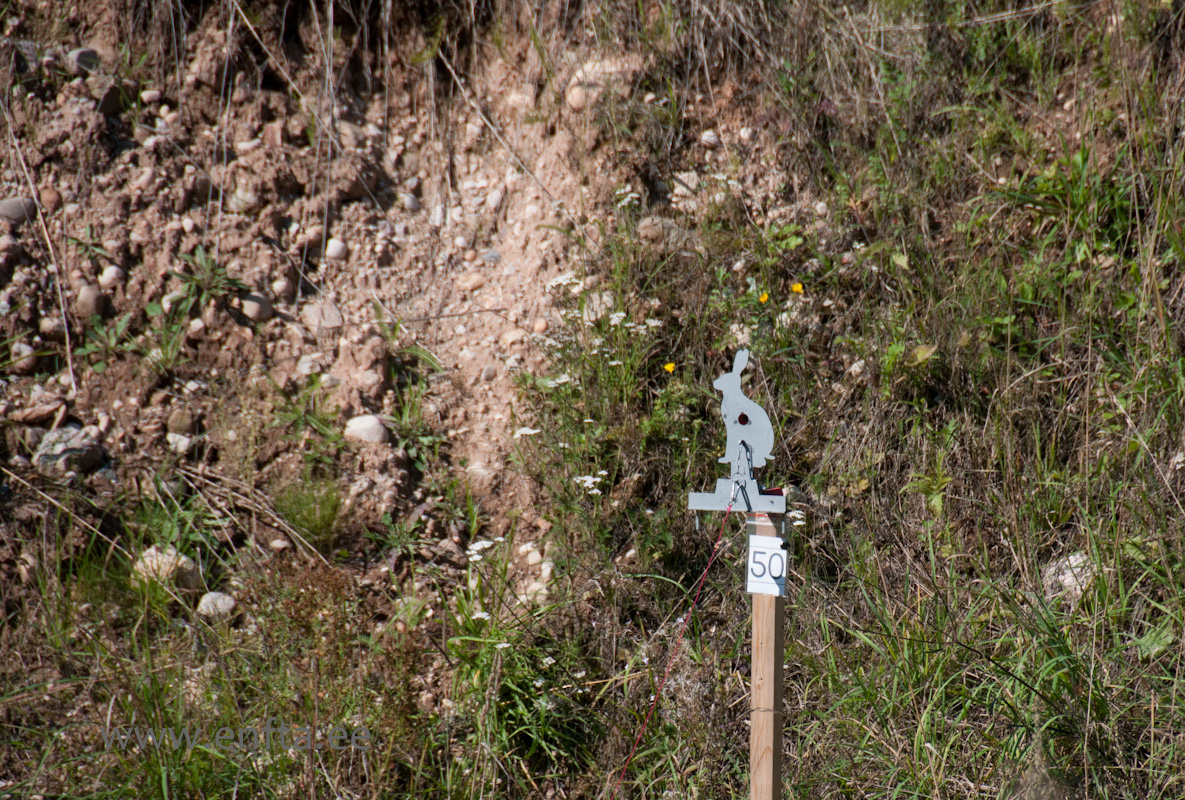Rabbit in a (large) hole!